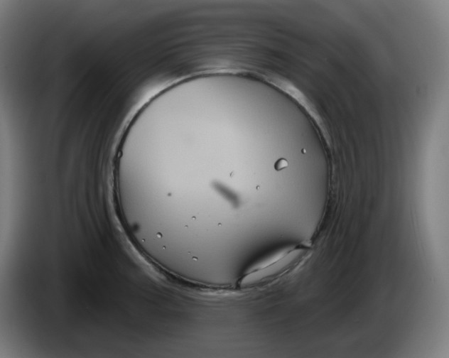 X0000086221187200704191732