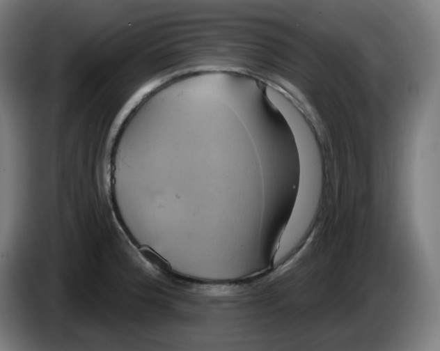 X0000086221188200704191732