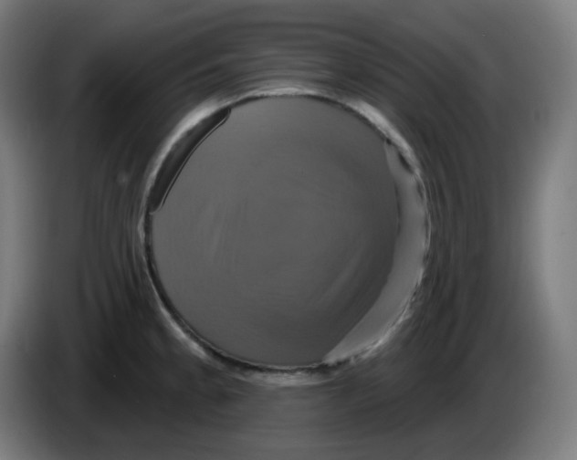 X0000086221189200704191732