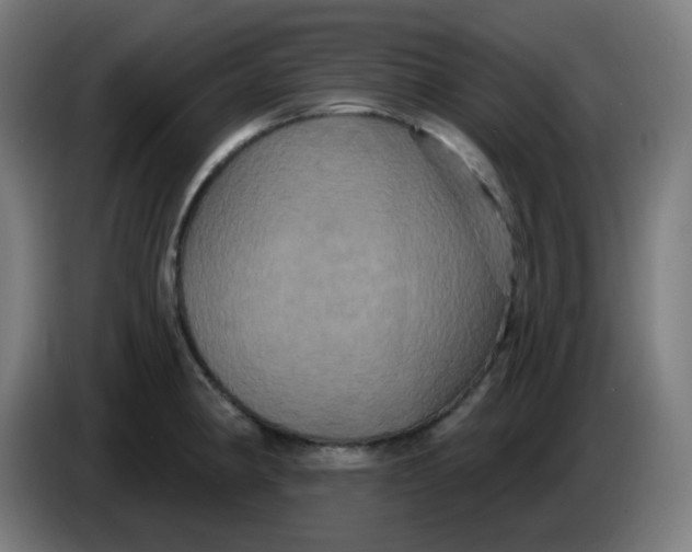 X0000086221190200704191732