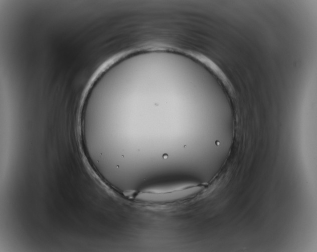 X0000086221191200704191732