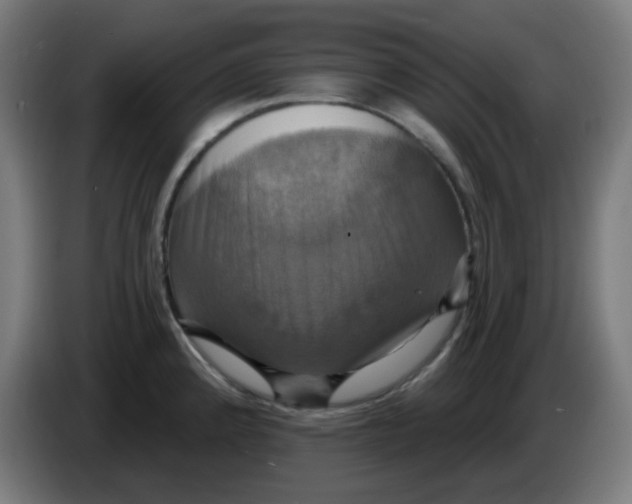 X0000086221192200704191732