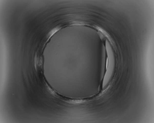 X0000086221193200704191732