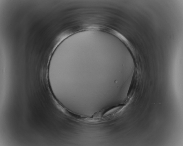 X0000086221194200704191732