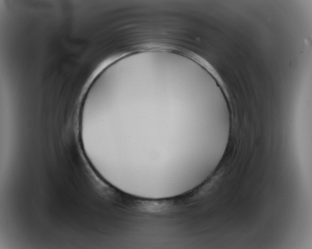 X0000086221195200704191732