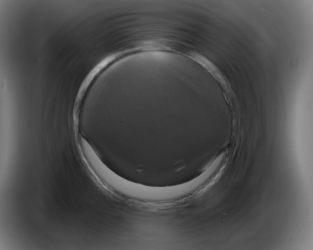 X0000086221196200704191732