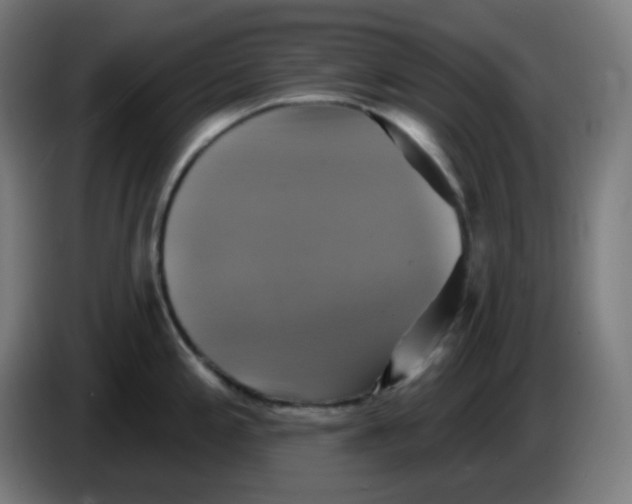 X0000086221197200704191732