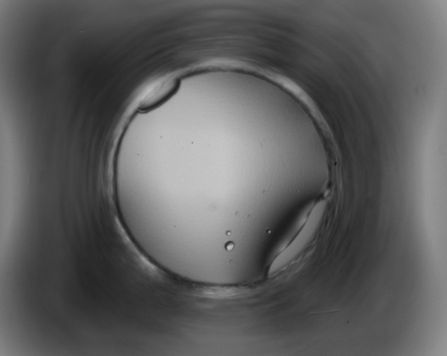 X0000086221199200704191732