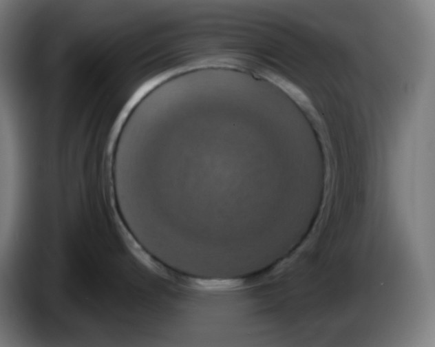 X0000086221200200704191732