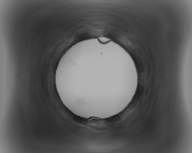 X0000086221201200704191731