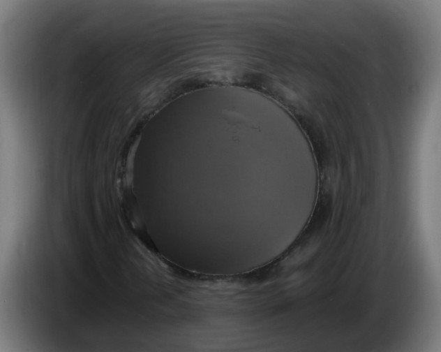 X0000086221202200704191731