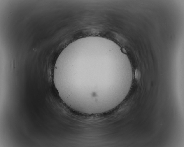 X0000086221203200704191731