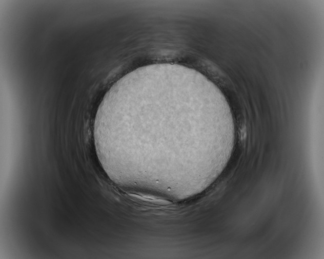 X0000086221204200704191731