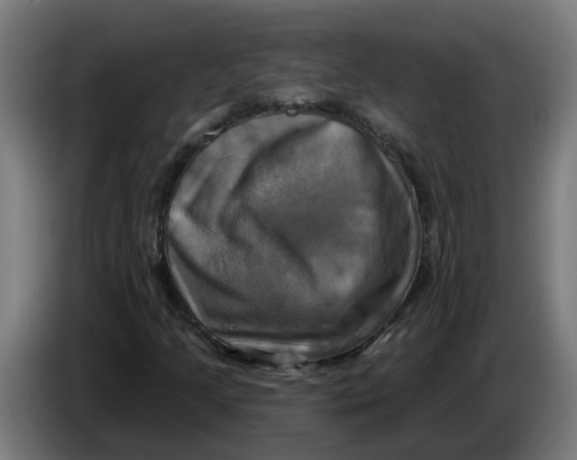 X0000086221205200704191731