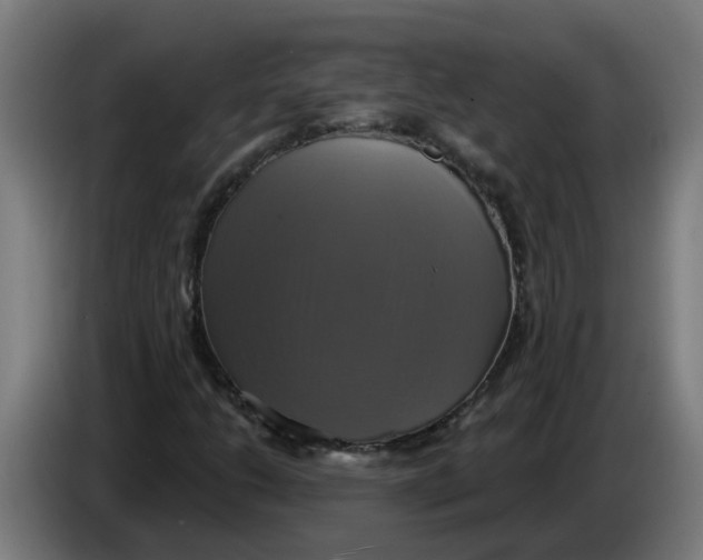 X0000086221206200704191731