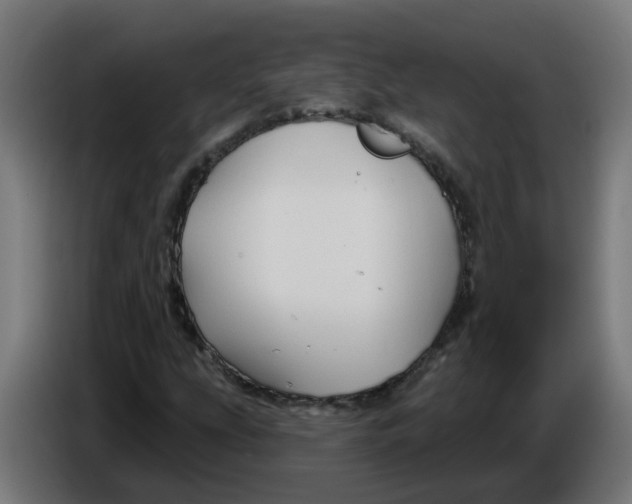 X0000086221207200704191731