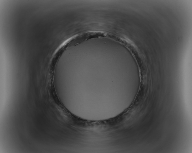 X0000086221208200704191731