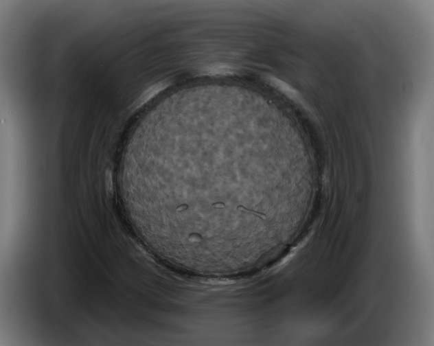 X0000086221209200704191731