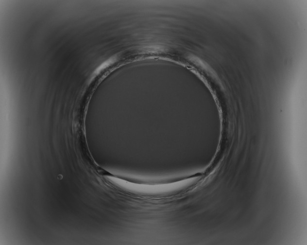 X0000086221210200704191731