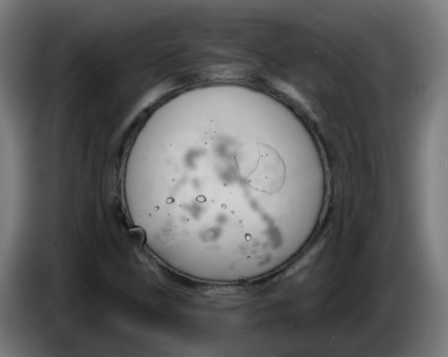 X0000086221211200704191731