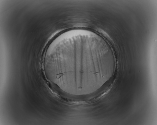 X0000086221212200704191731