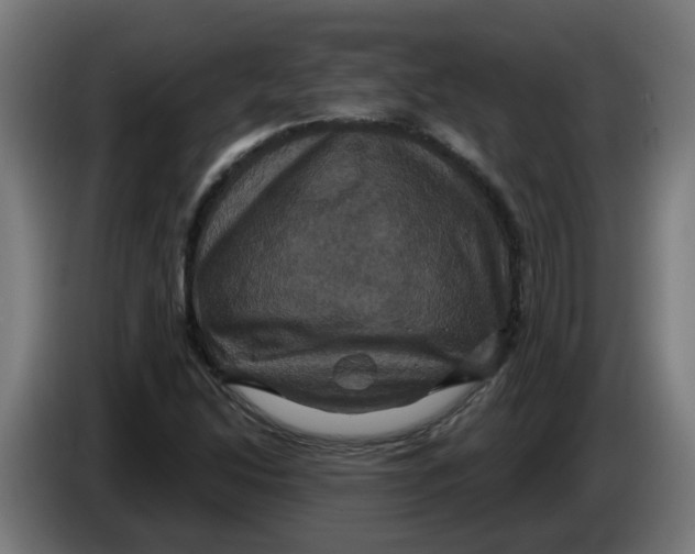 X0000086221214200704191731