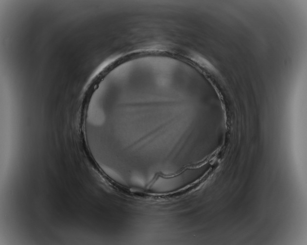 X0000086221216200704191731