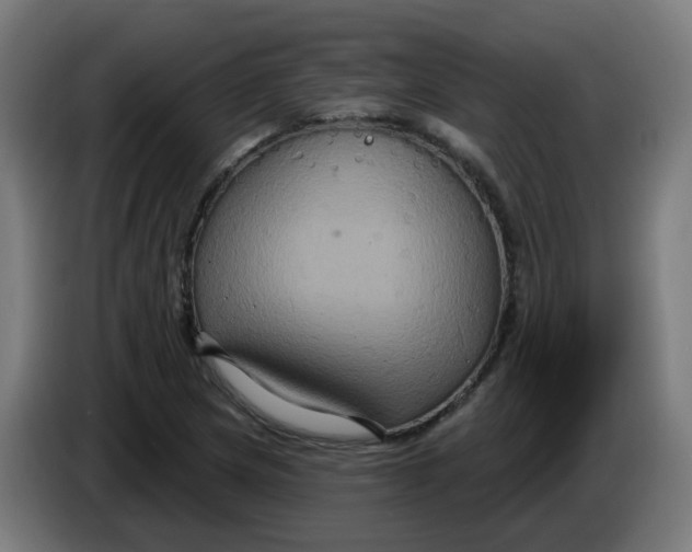 X0000086221217200704191731