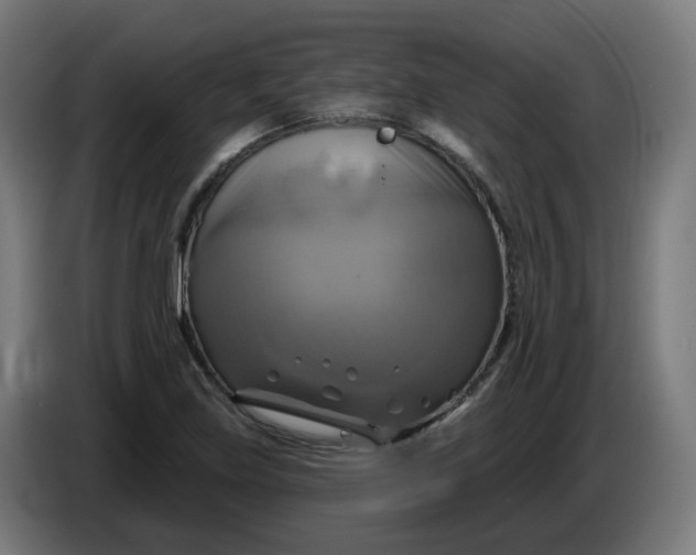 X0000086221219200704191731