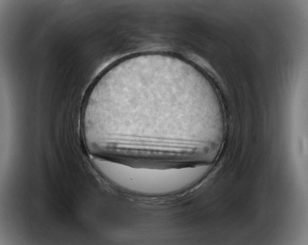 X0000086221220200704191731