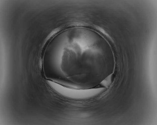 X0000086221221200704191731