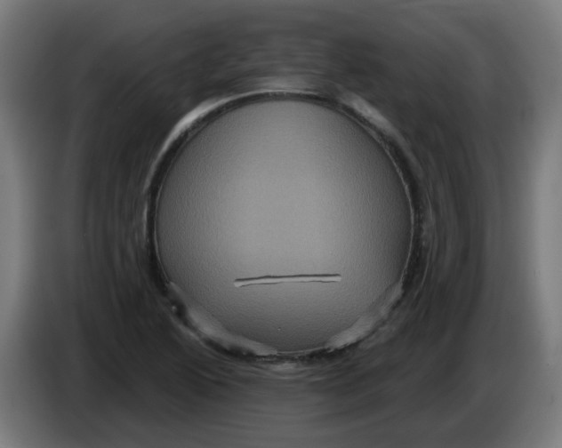 X0000086221222200704191731