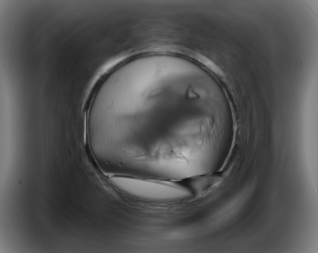 X0000086221223200704191731