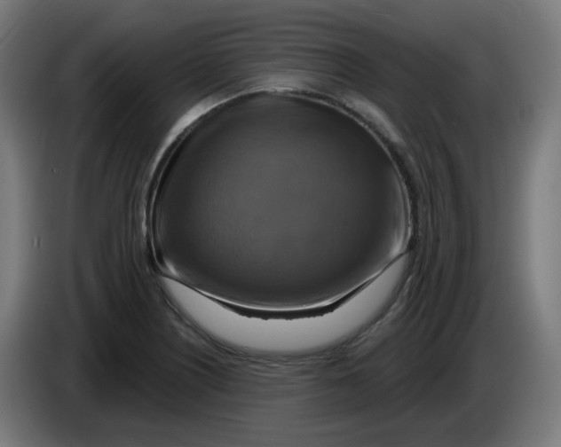 X0000086221226200704191731