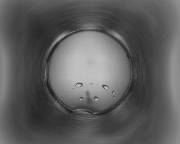 X0000086221227200704191731