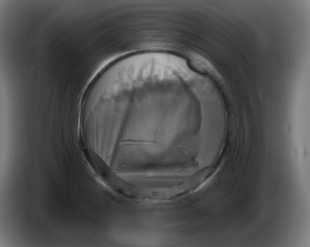 X0000086221228200704191731