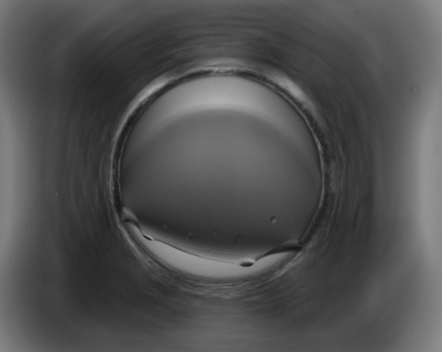 X0000086221229200704191731