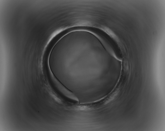 X0000086221230200704191731