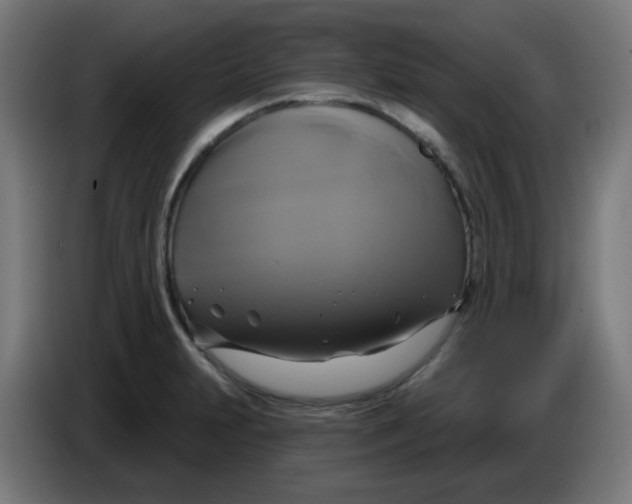 X0000086221231200704191731