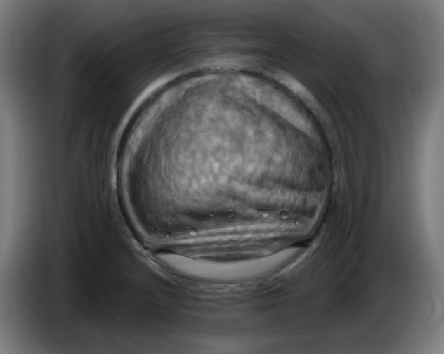 X0000086221232200704191731