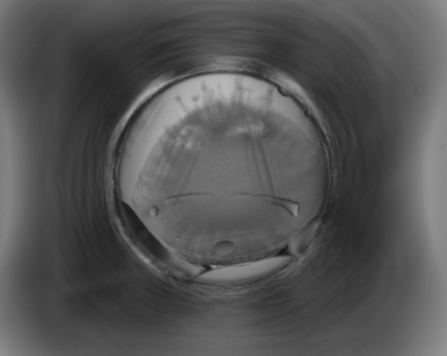 X0000086221235200704191731