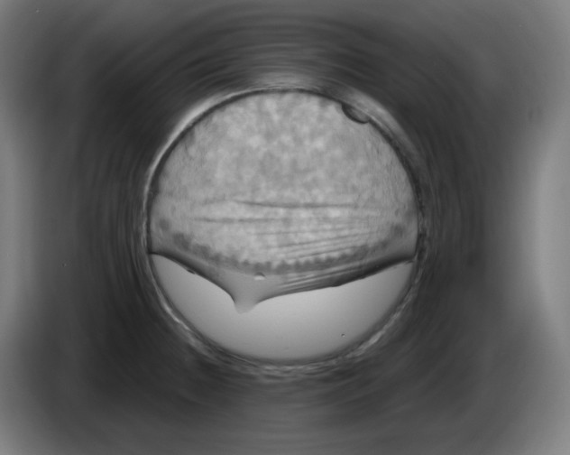 X0000086221236200704191731