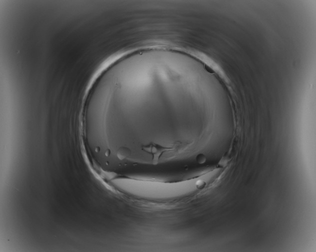 X0000086221239200704191731