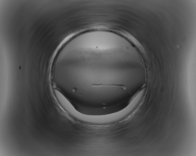 X0000086221240200704191732