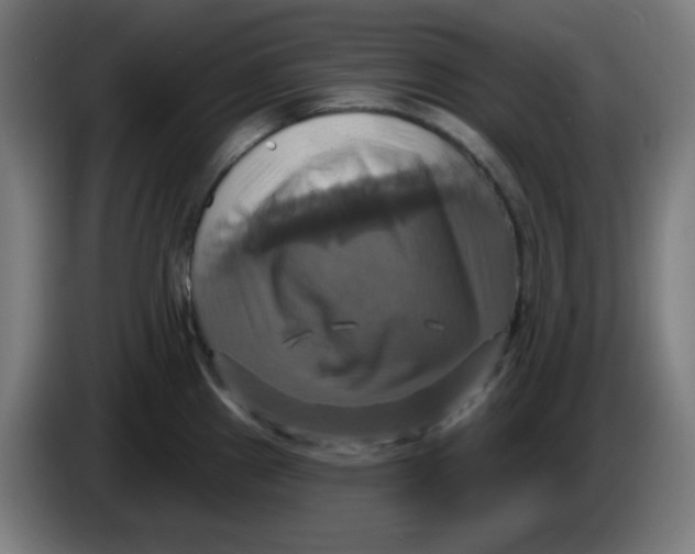 X0000086221241200704191732