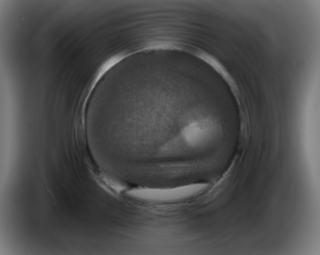 X0000086221242200704191732