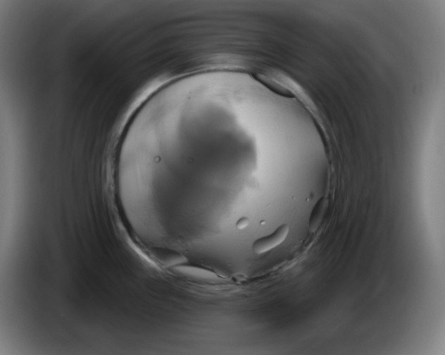 X0000086221243200704191732