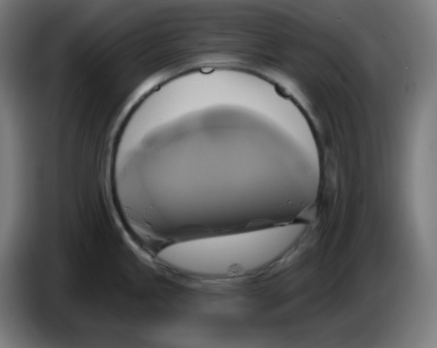 X0000086221245200704191732