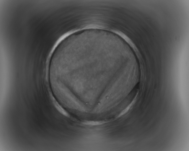 X0000086221246200704191732