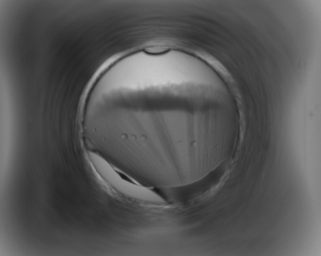 X0000086221248200704191732